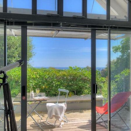 Little West Hill Studio Λάιμ Ρέγκις Εξωτερικό φωτογραφία