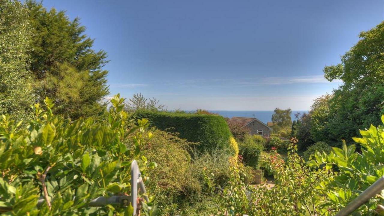 Little West Hill Studio Λάιμ Ρέγκις Εξωτερικό φωτογραφία